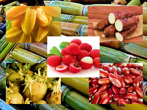 Common Poisonous Fruits and Vegetables