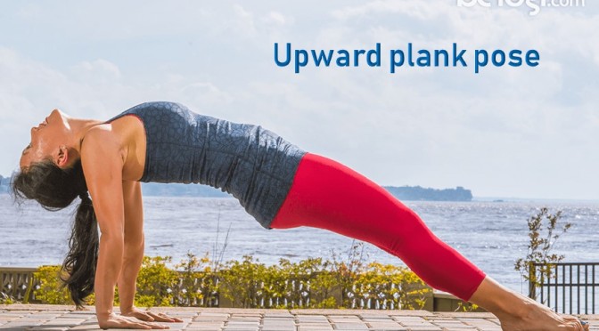 Upward Plank Pose