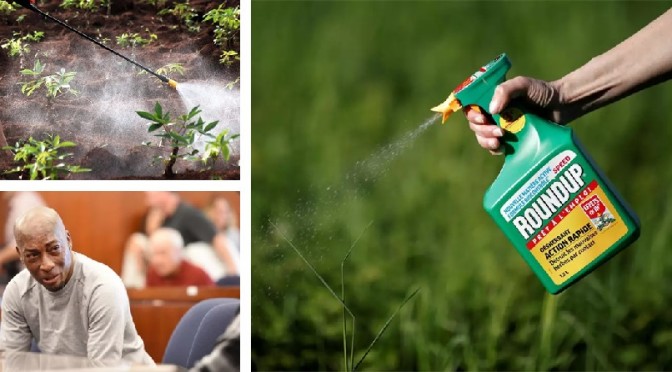 Monsanto to pay $289.2 million in Roundup cancer trial