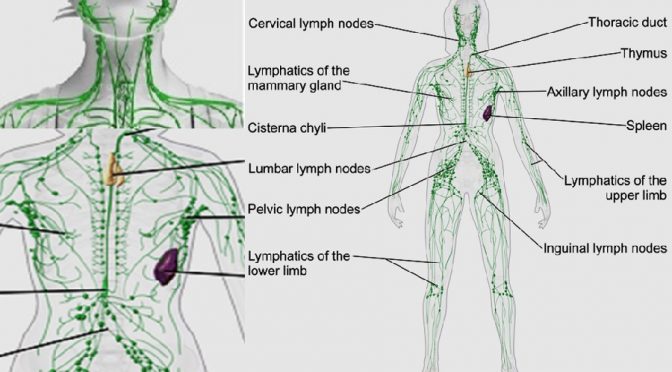 Lymphatic congestion