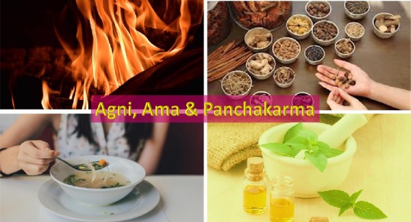 Agni, Ama and Panchakarma therapy