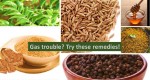Home remedies for gas trouble