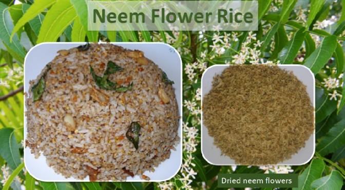 Neem flower rice