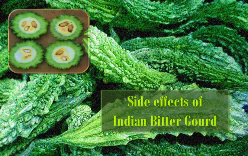 Bitter gourd side outlet effects