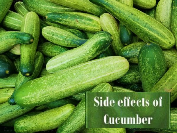 Side effect of cucumber