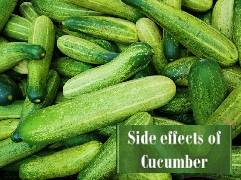 Side effect of cucumber