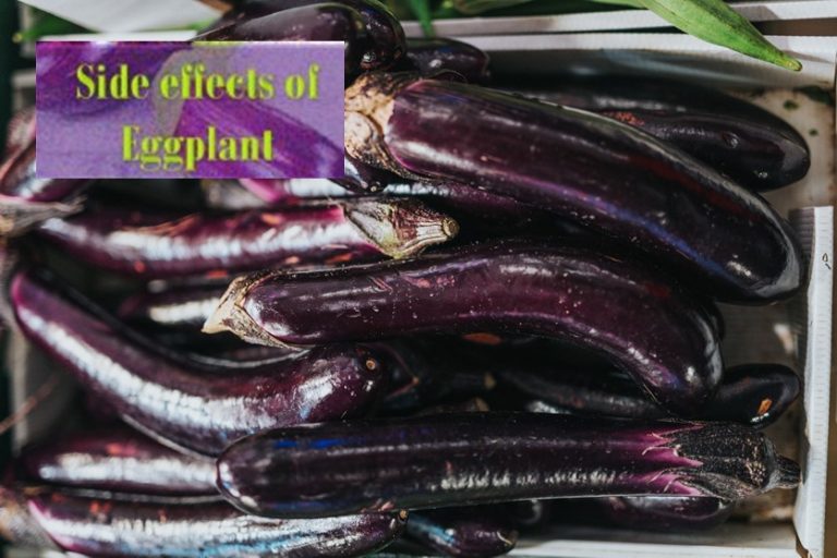 Eggplant side effects HealthyLife WeRIndia