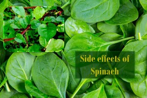 Side effect spinach