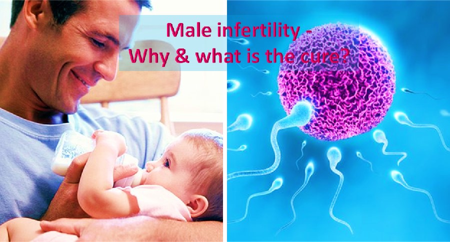 Male infertility cure