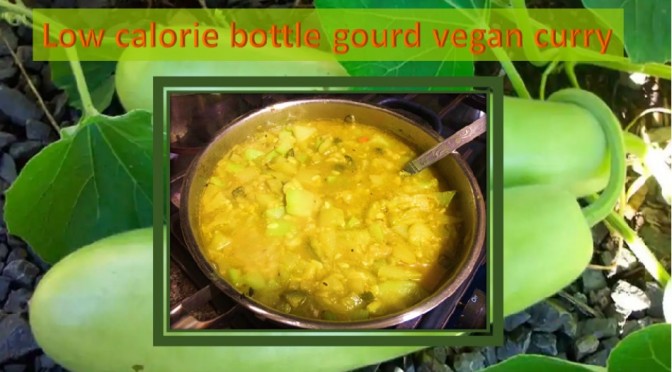 Bottle gourd weight loss curry