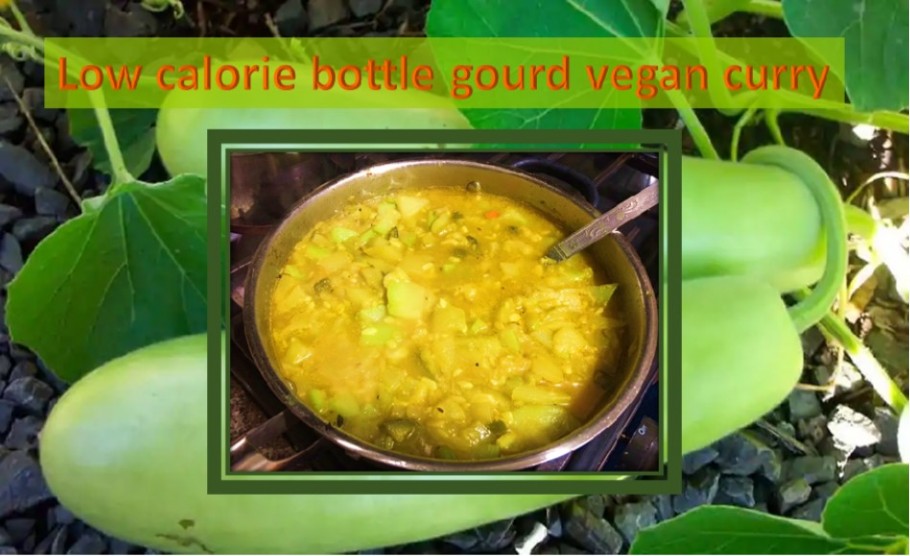 Bottle gourd weight loss curry