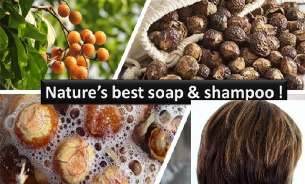 Soapnut natural shampoo