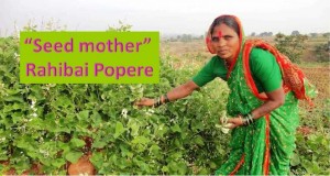 Seed mother Rahibai Popere