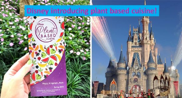 Plant based food in Disney