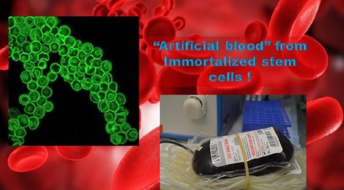 Unlimited Artificial blood from Immortalized stem cells