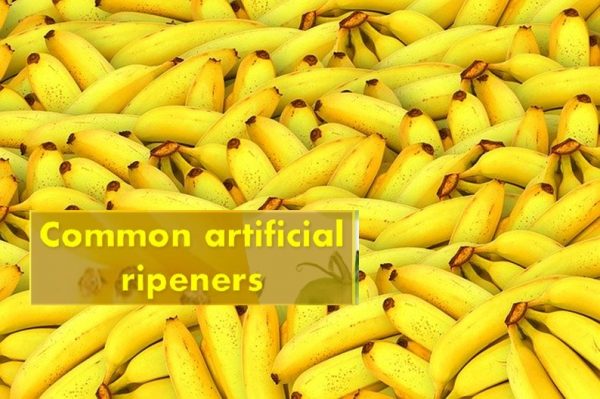 Common artificial ripeners