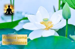 Ahimsa Yama - Non-Violence