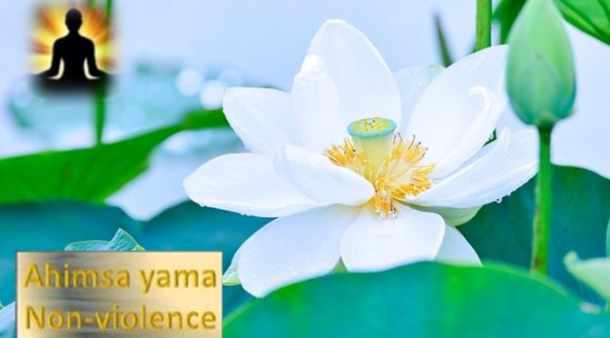 Ahimsa Yama - Non-Violence