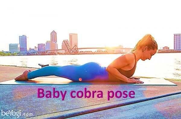 Baby cobra pose