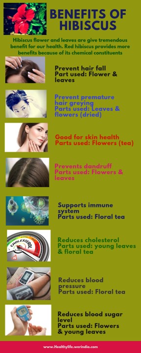 Hibiscus health benefits