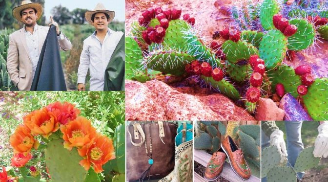 Nopal cactus leather