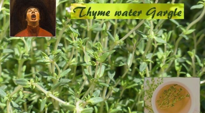 Thyme water for sore throat