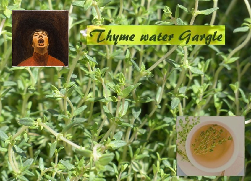 Thyme water for sore throat