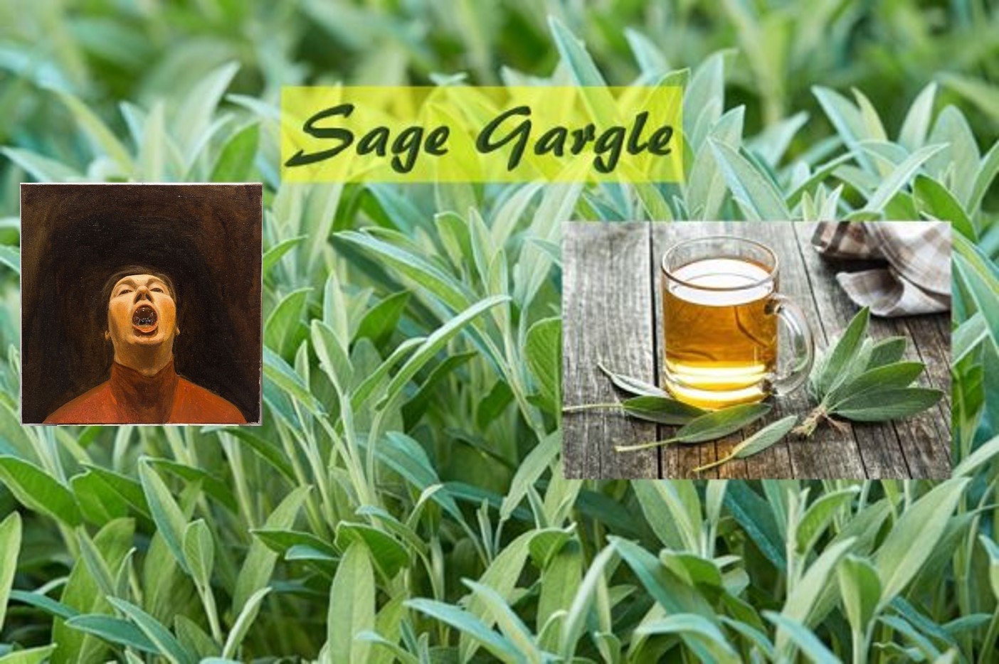 Sage water gargle
