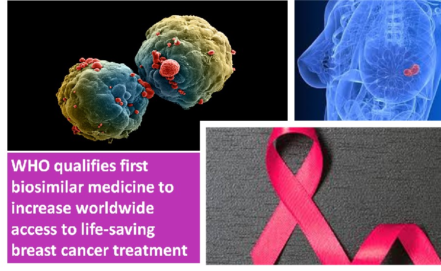 First breast cancer drug