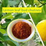 Lemon leaf bud chutney