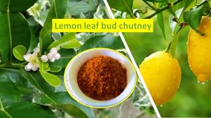 Lemon leaf bud chutney