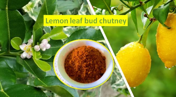 Lemon leaf bud chutney
