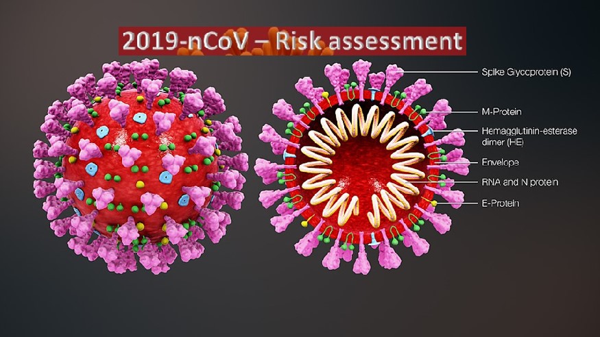 Novel coronavirus risk assessment