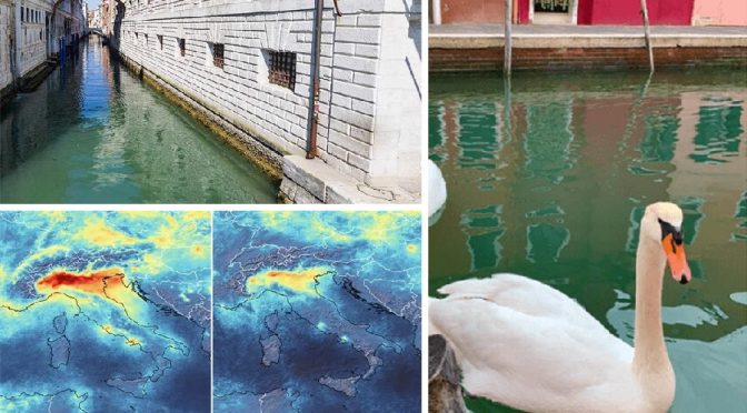 Coronavirus & pollution