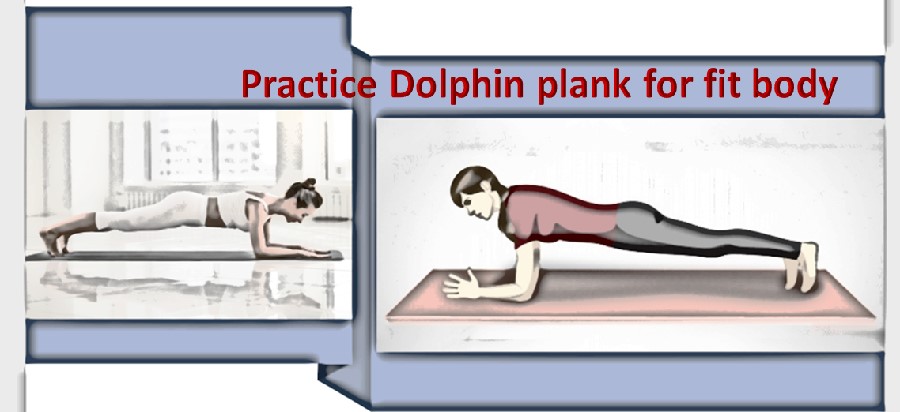 Dolphin plank pose