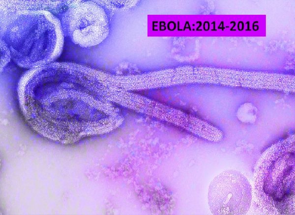 Ebola epidemic disease