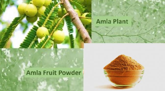 Amla powder