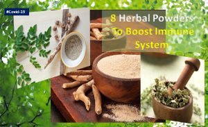 Herbal powders to boost immune system