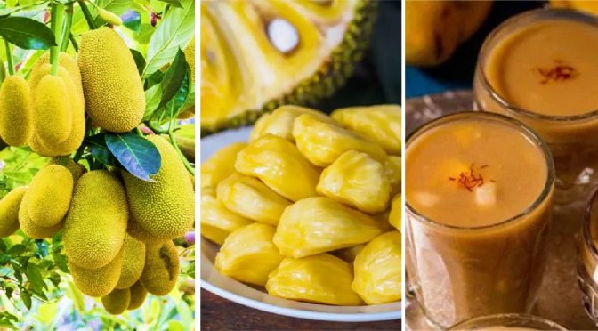 Jackfruit payasam dessert