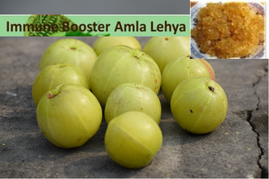 Immunity booster Amla Indian gooseberry lehya