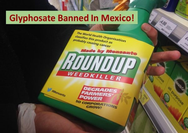 Mexico bans glyphosate