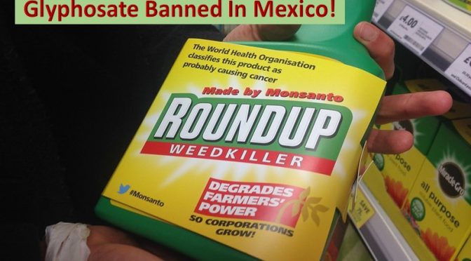 Mexico bans glyphosate
