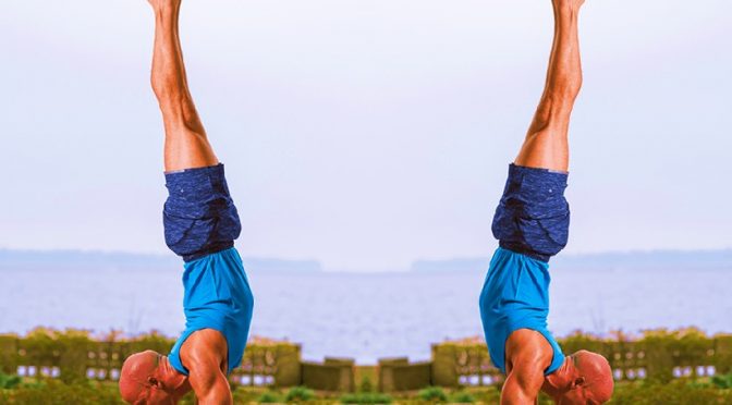 Feathered Peacock Pose