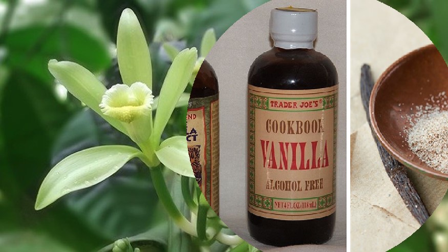 Vanilla extract uses