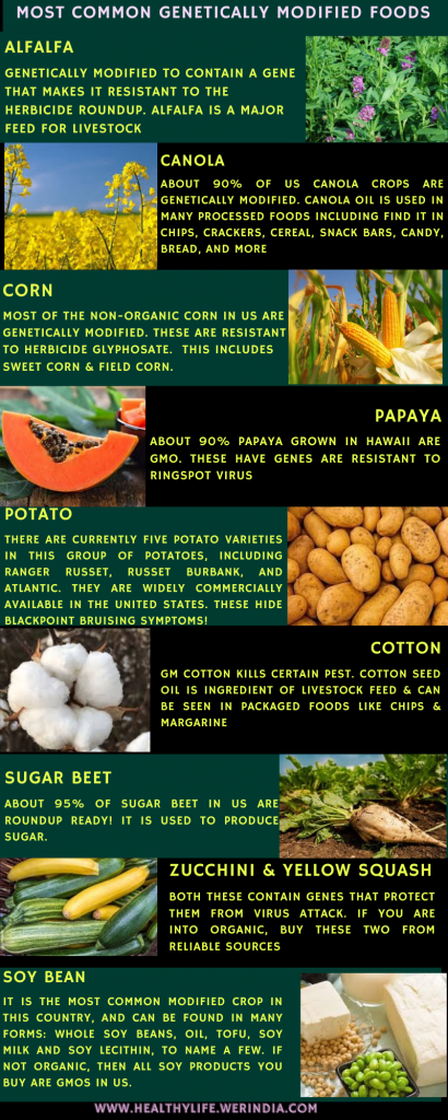 MOST COMMON GENETICALLY MODIFIED FOOD CROPS - HealthyLife | WeRIndia