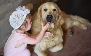 Kids and pets safety