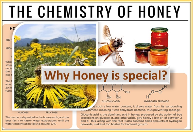 What Makes Honey Special