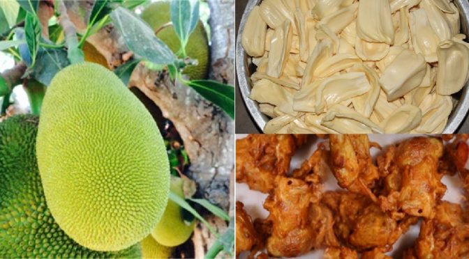 jackfruit pakora recipe