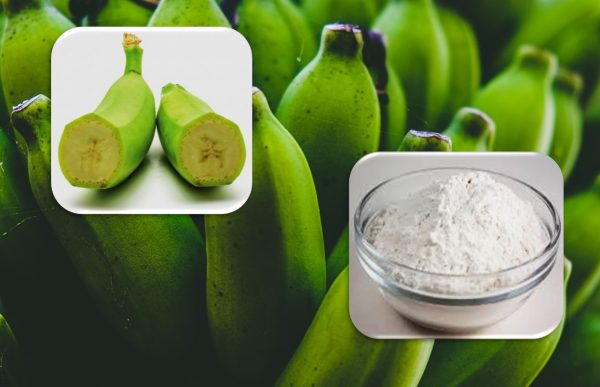 Green banana flour benefits