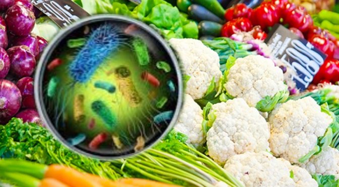 Listeria foodborne pathogen